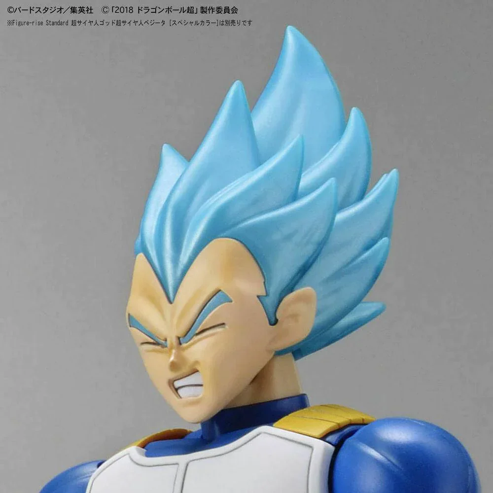 DRAGON BALL - Figurerise Standard Super Saiyan Broly Full Power - Image 10