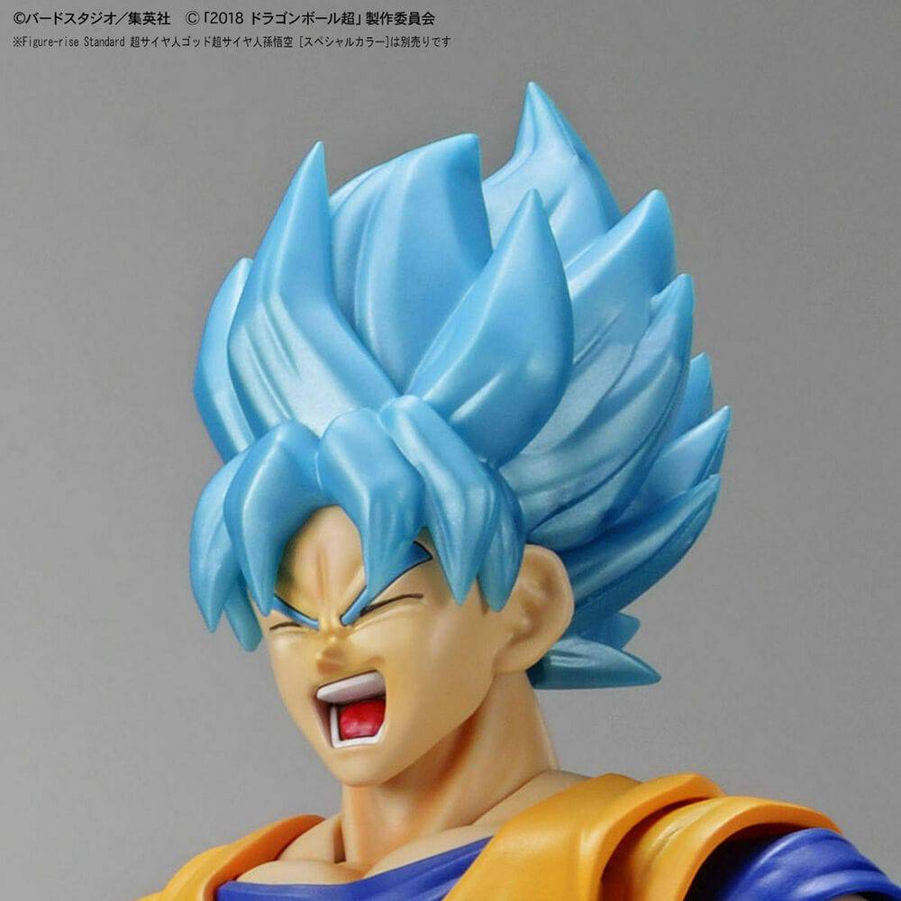DRAGON BALL - Figurerise Standard Super Saiyan Broly Full Power - Image 9