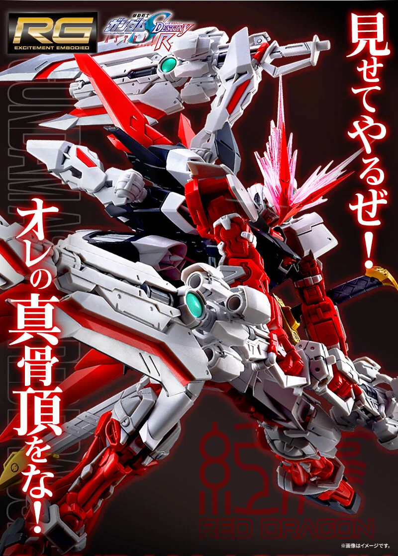 GUNDAM - P-Bandai: RG 1/144 Gundam Astray Red Dragon [PRE-ORDER] - Image 10
