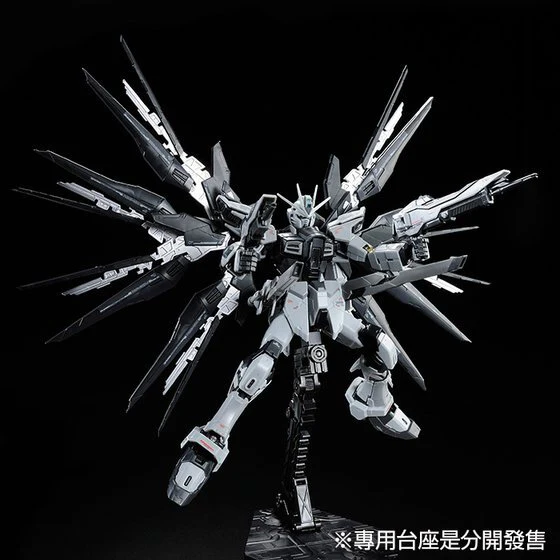 GUNDAM - P-Bandai: RG 1/144 Strike Freedom Gundam (Deactive mode) [PRE-ORDER] - Image 6
