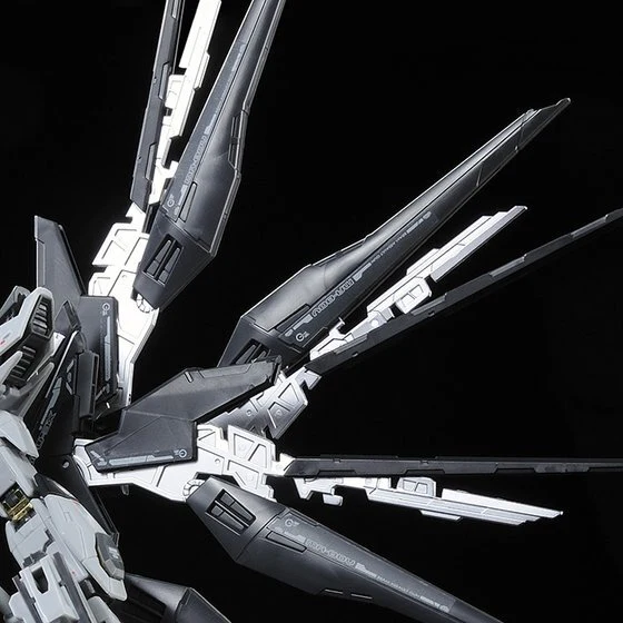 GUNDAM - P-Bandai: RG 1/144 Strike Freedom Gundam (Deactive mode) [PRE-ORDER] - Image 7