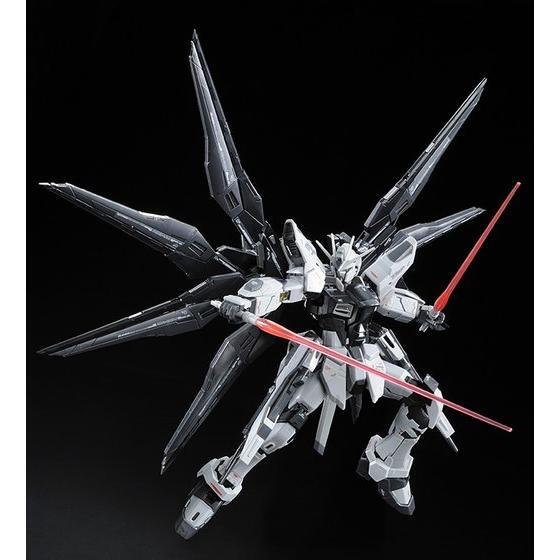 GUNDAM - P-Bandai: RG 1/144 Strike Freedom Gundam (Deactive mode) [PRE-ORDER] - Image 8