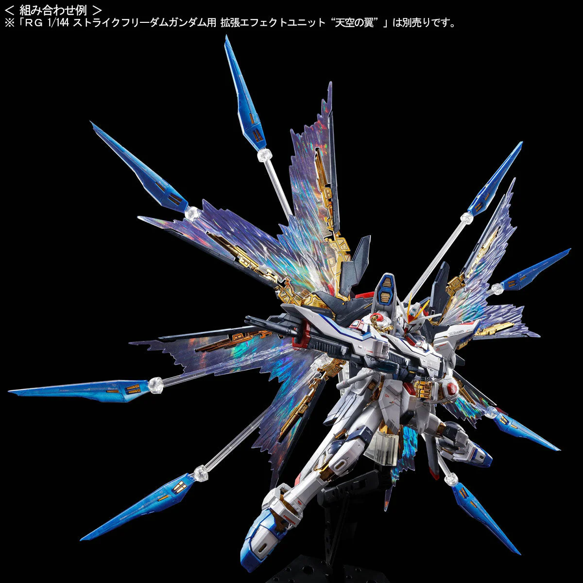 GUNDAM - P-Bandai - RG 1/144 Strike Freedom Gundam [TITANIUM FINISH] - Image 7