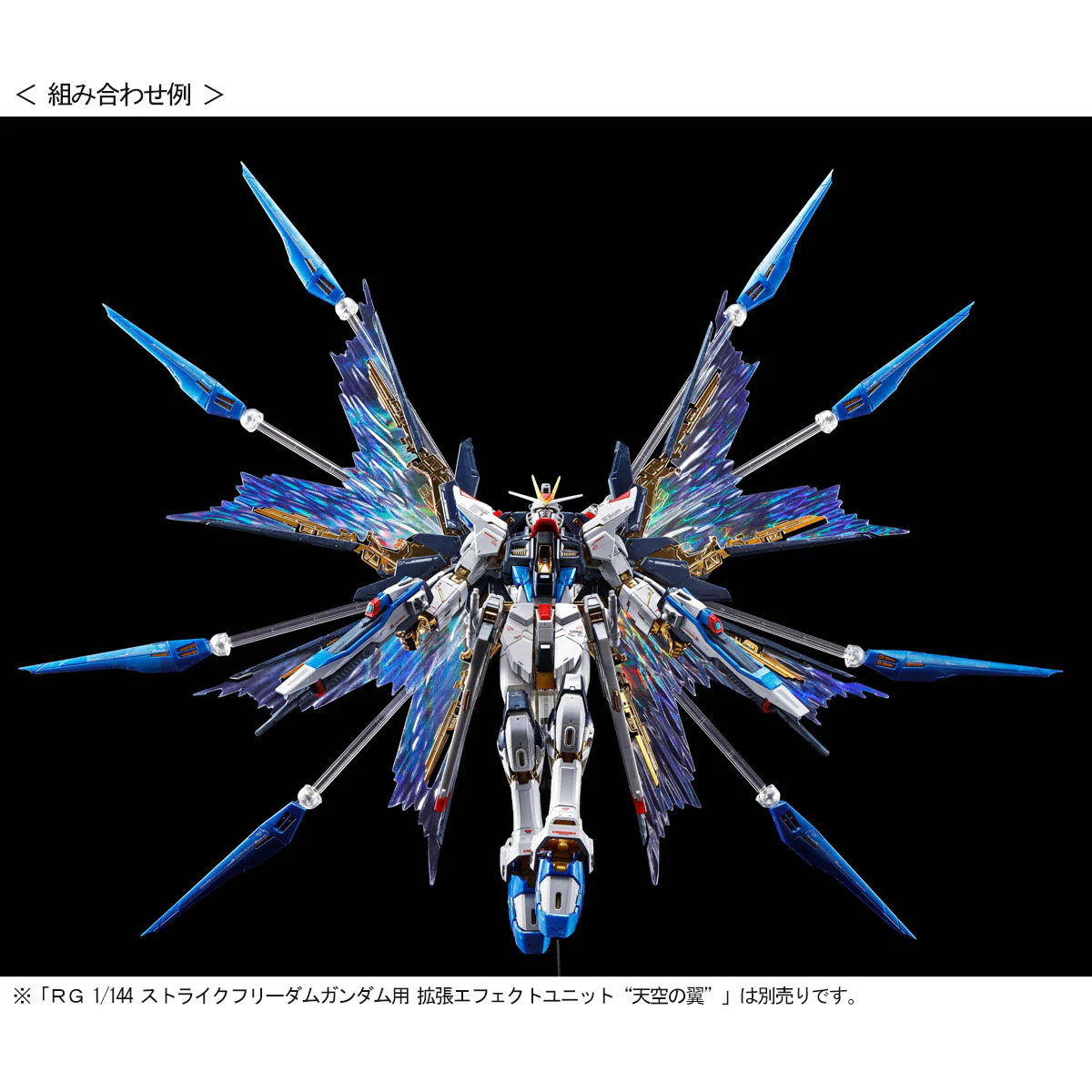 GUNDAM - P-Bandai - RG 1/144 Strike Freedom Gundam [TITANIUM FINISH] - Image 8