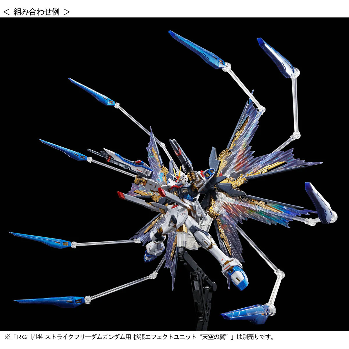 GUNDAM - P-Bandai - RG 1/144 Strike Freedom Gundam [TITANIUM FINISH] - Image 9