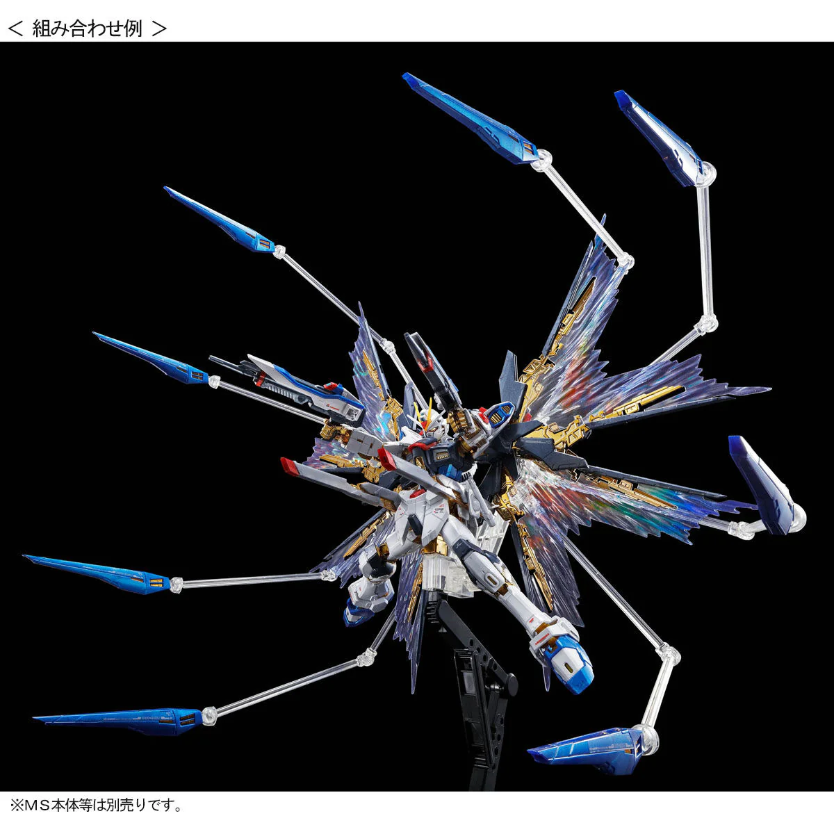 GUNDAM - P-Bandai - RG 1/144 Strike Freedom "WINGS OF THE SKY" Effect - Image 3