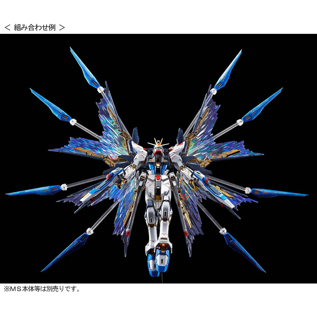 GUNDAM - P-Bandai - RG 1/144 Strike Freedom "WINGS OF THE SKY" Effect - Image 4