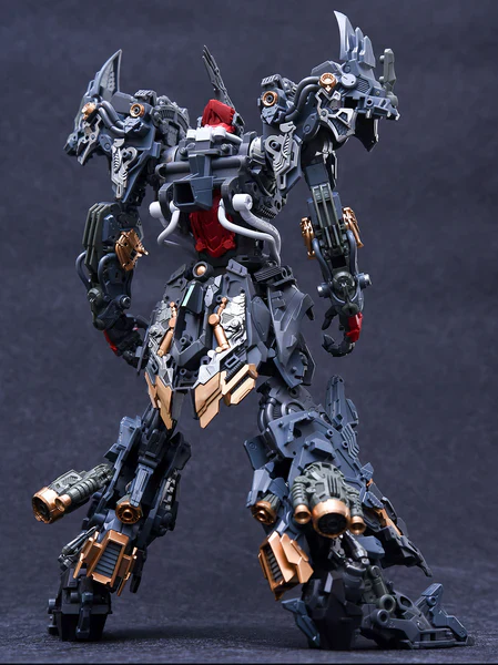 Infinite Dimensions - MG 1/100 RMD Lizard 利扎得 - Image 2