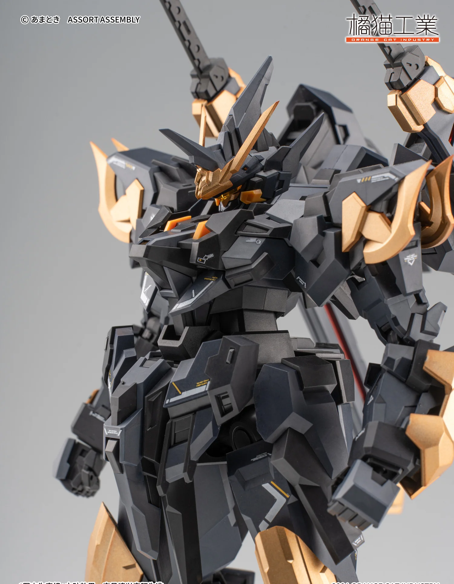 Orange Cat Industry - Neamhain - Exceed Type EXT - GS/EA3 Model Kit - Image 4