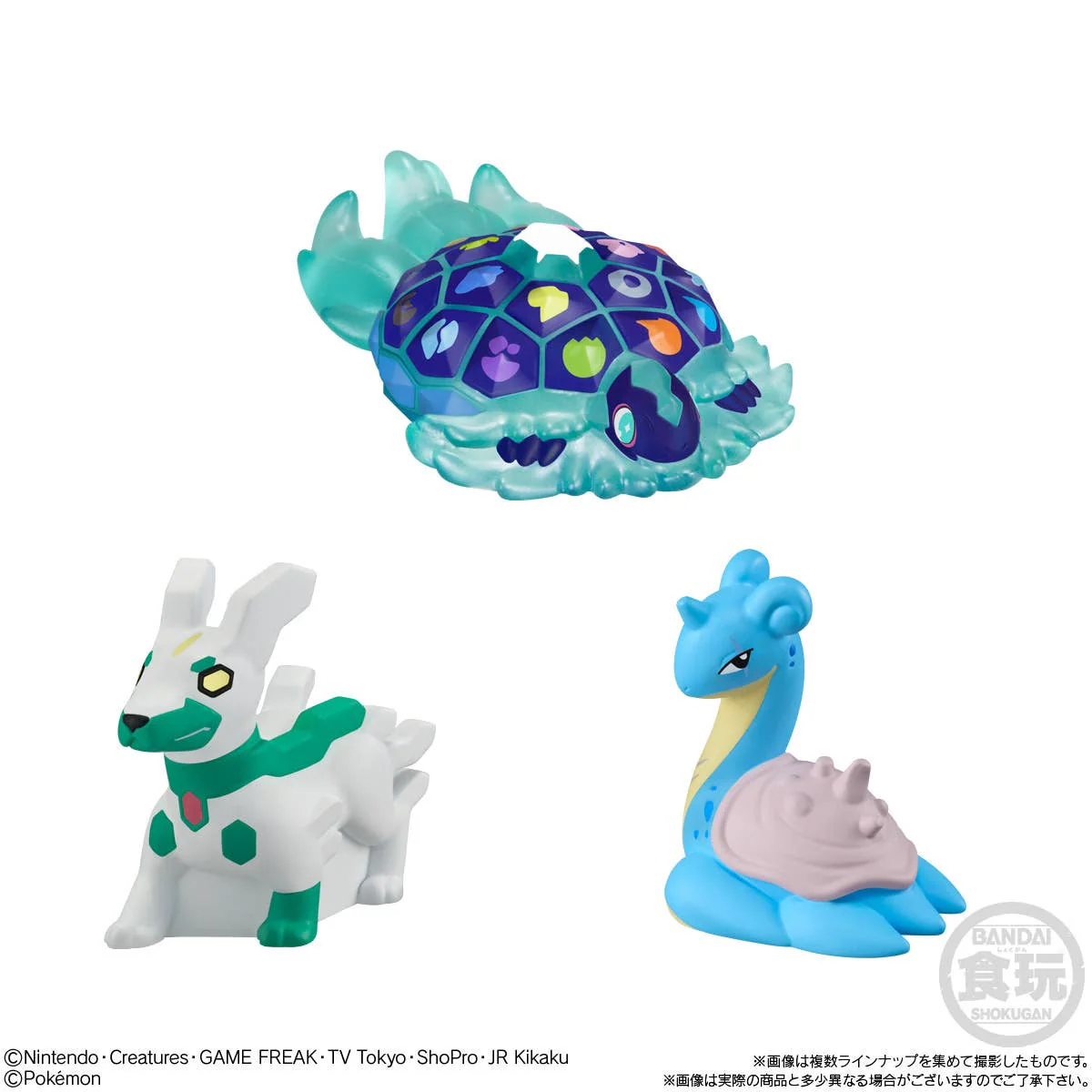 POKEMON - Pokemon Kids Terapagos Edition - Image 4