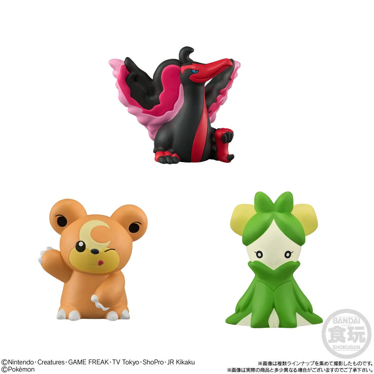 POKEMON - Pokemon Kids Terapagos Edition - Image 5