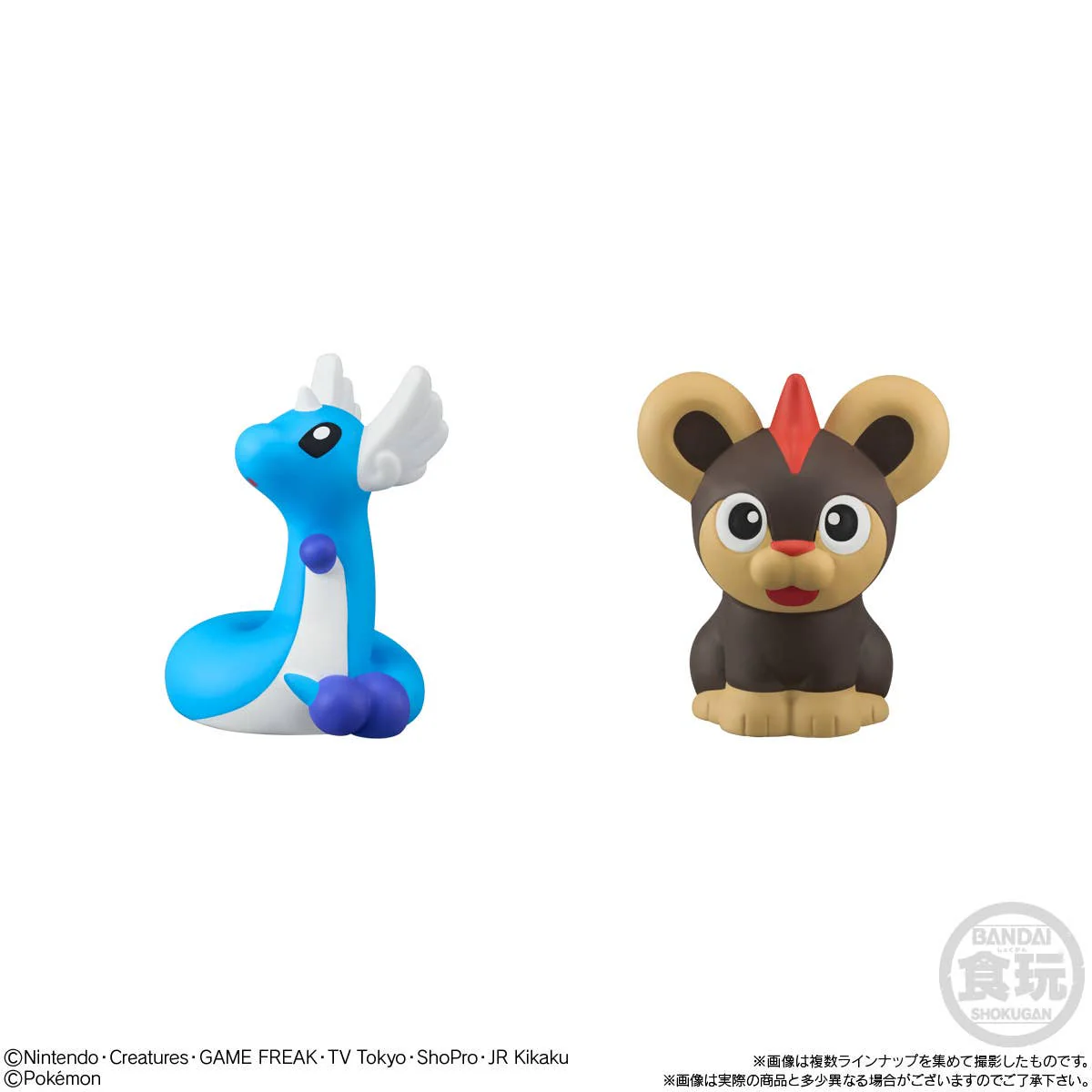 POKEMON - Pokemon Kids Terapagos Edition - Image 8