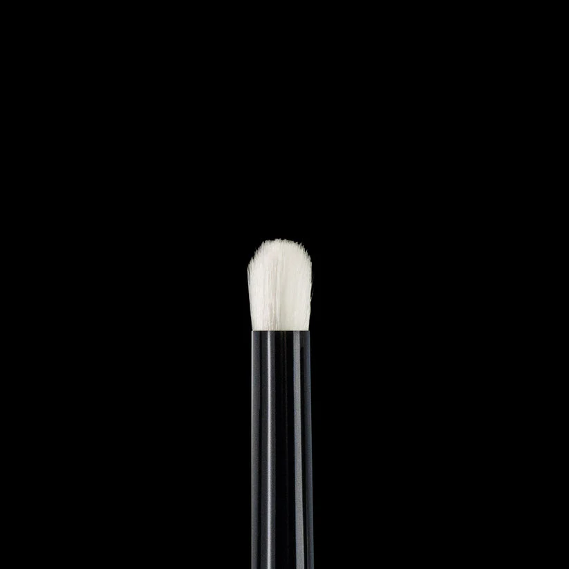 Ray Studio Modeling Dry Brush - Image 4
