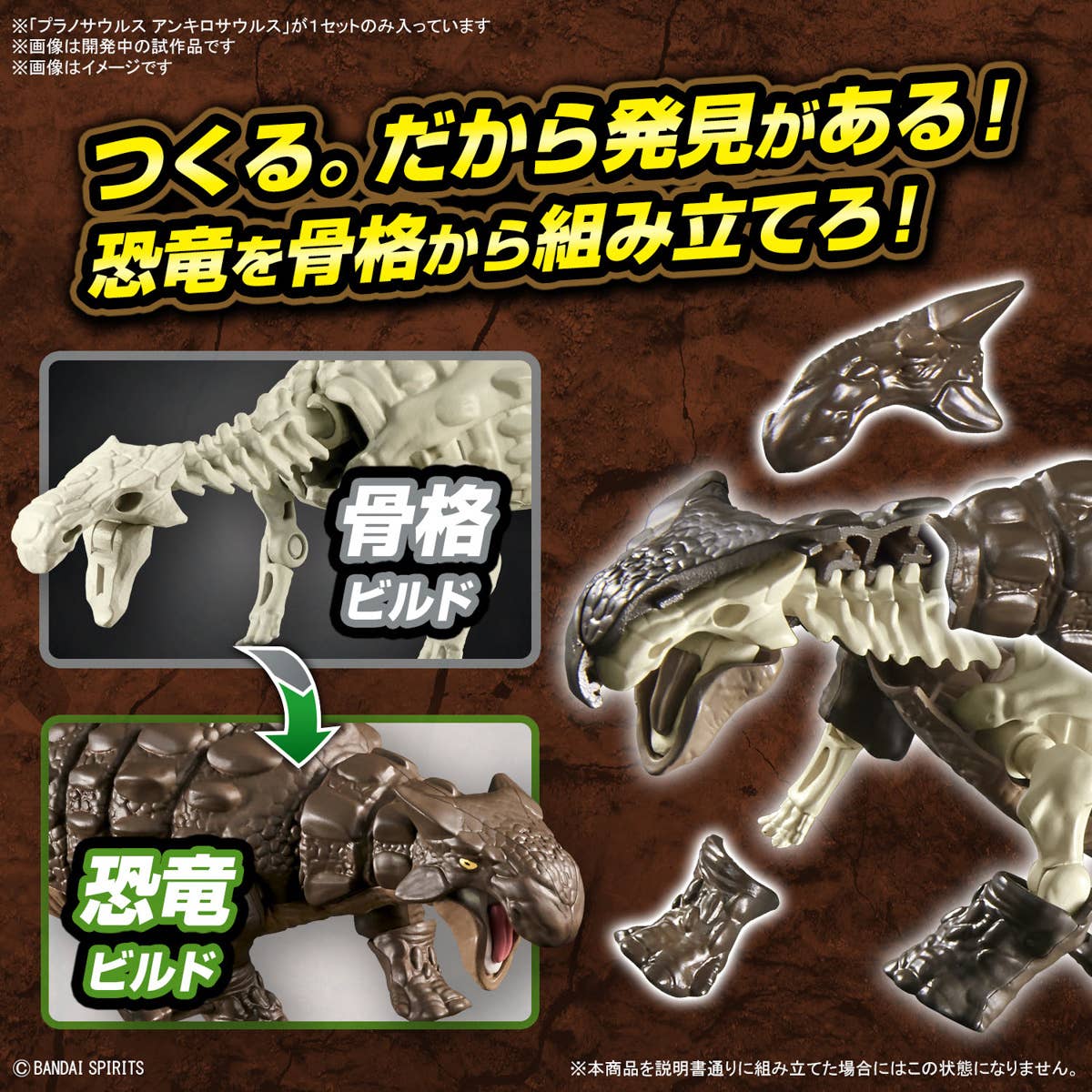 Real Science - Plannosaurus Ankylosaurus - Image 6