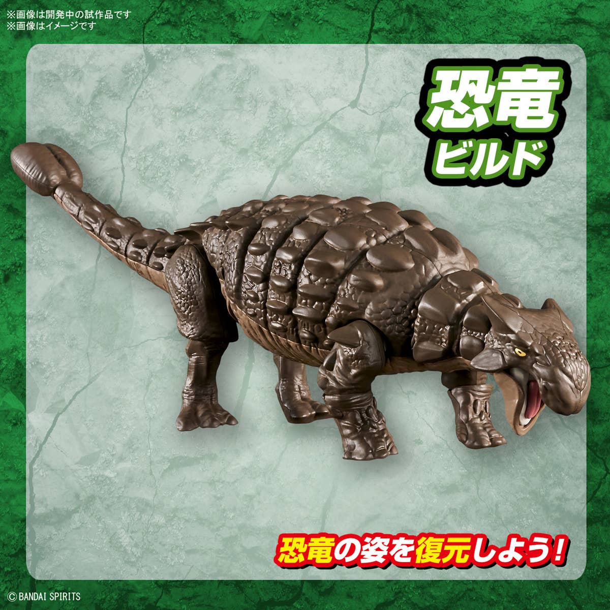 Real Science - Plannosaurus Ankylosaurus - Image 8