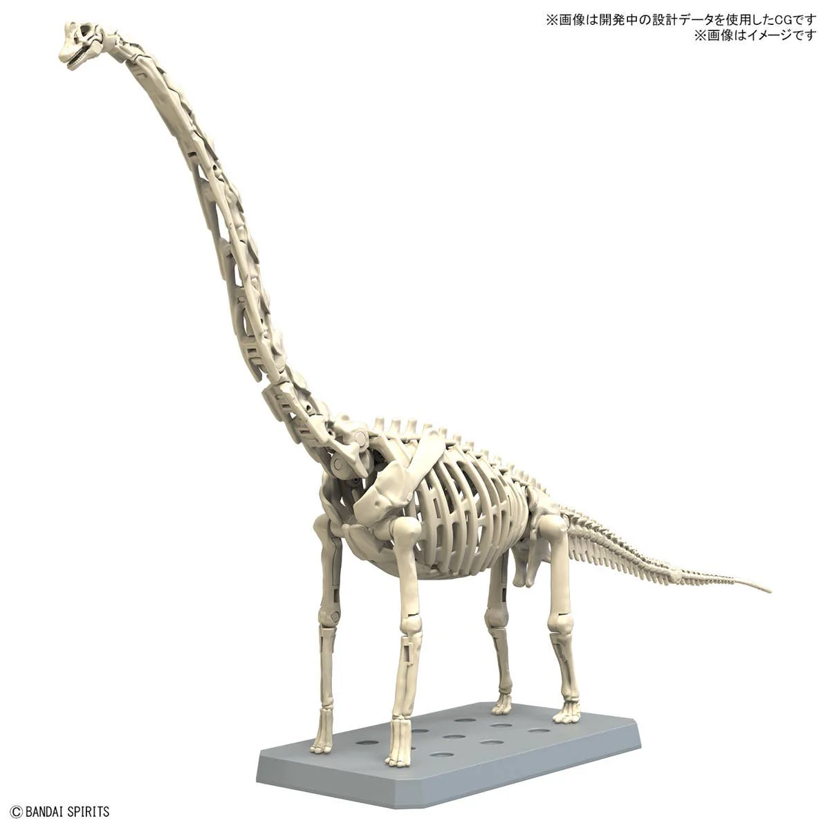 Real Science - Plannosaurus Brachiosaurus - Image 2