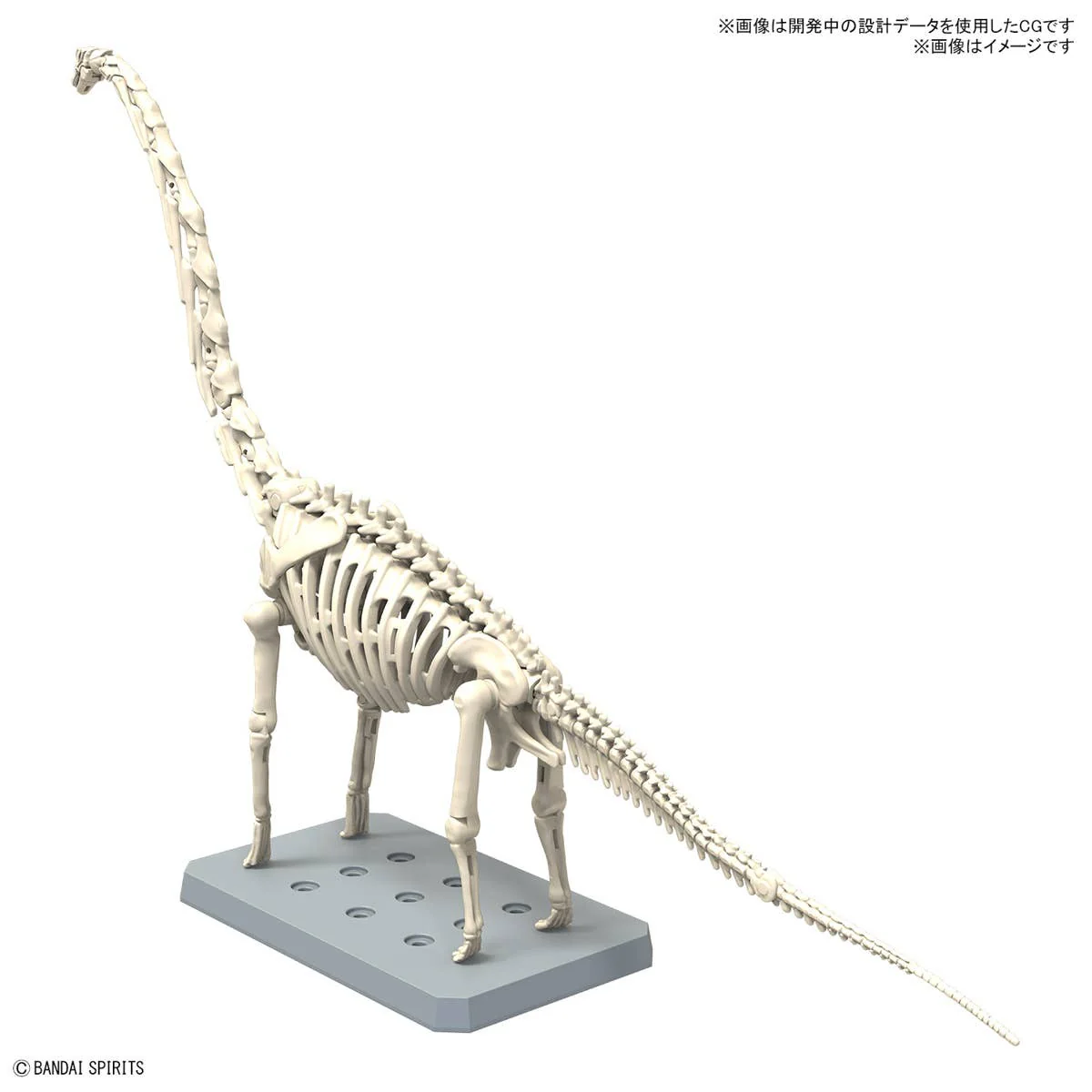 Real Science - Plannosaurus Brachiosaurus - Image 4
