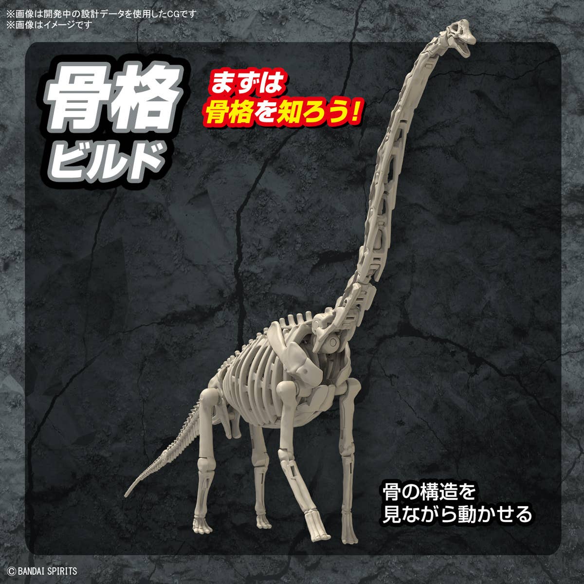 Real Science - Plannosaurus Brachiosaurus - Image 6