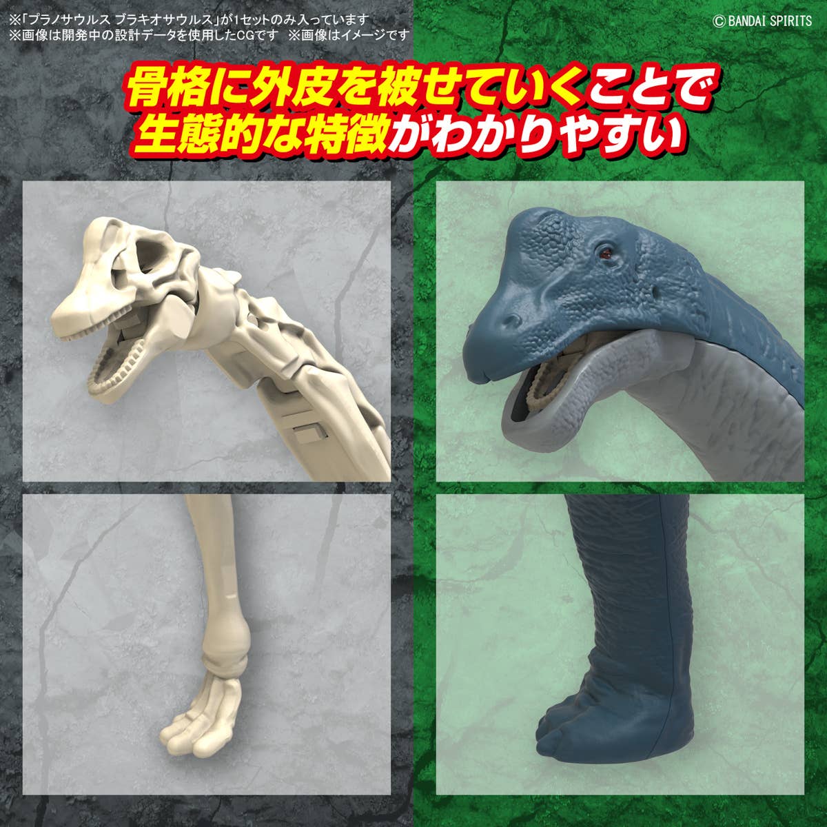 Real Science - Plannosaurus Brachiosaurus - Image 8