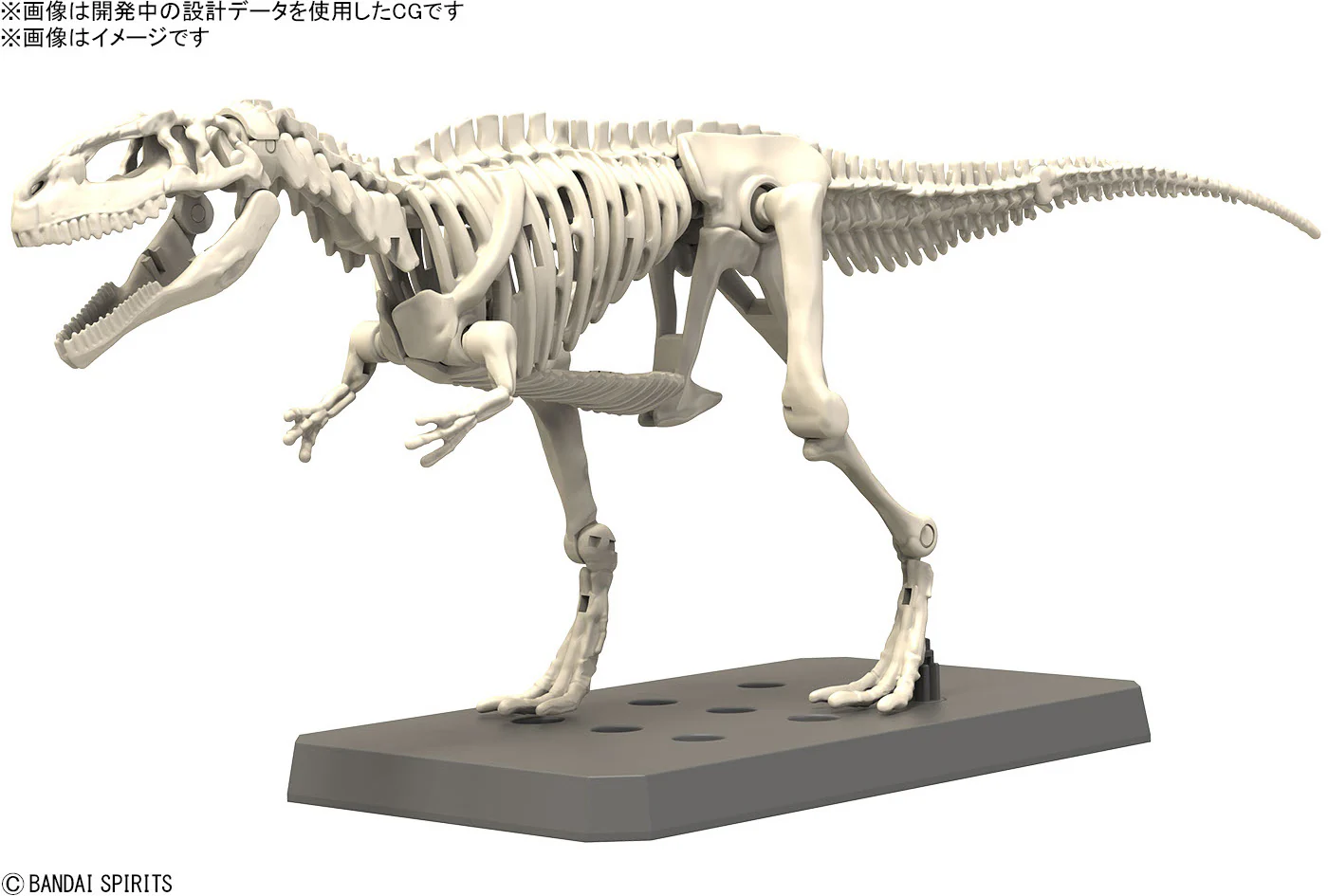 Real Science - Plannosaurus Giganotosaurus Model Kit - Image 3