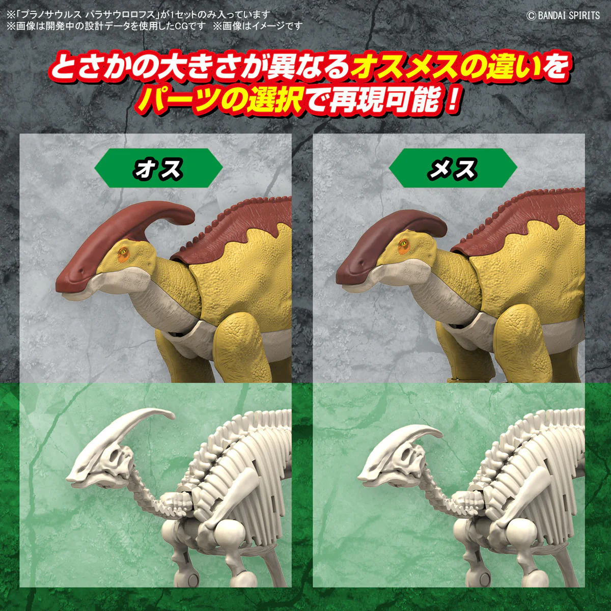 Real Science - Plannosaurus Parasaurolophus Model Kit - Image 9