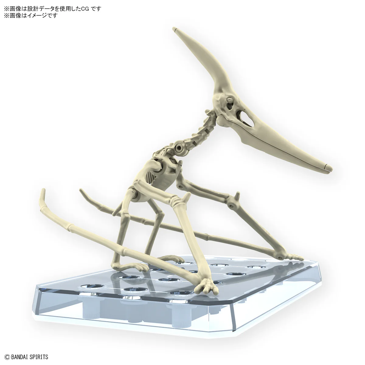 Real Science - Plannosaurus Pteranodon Model Kit - Image 3