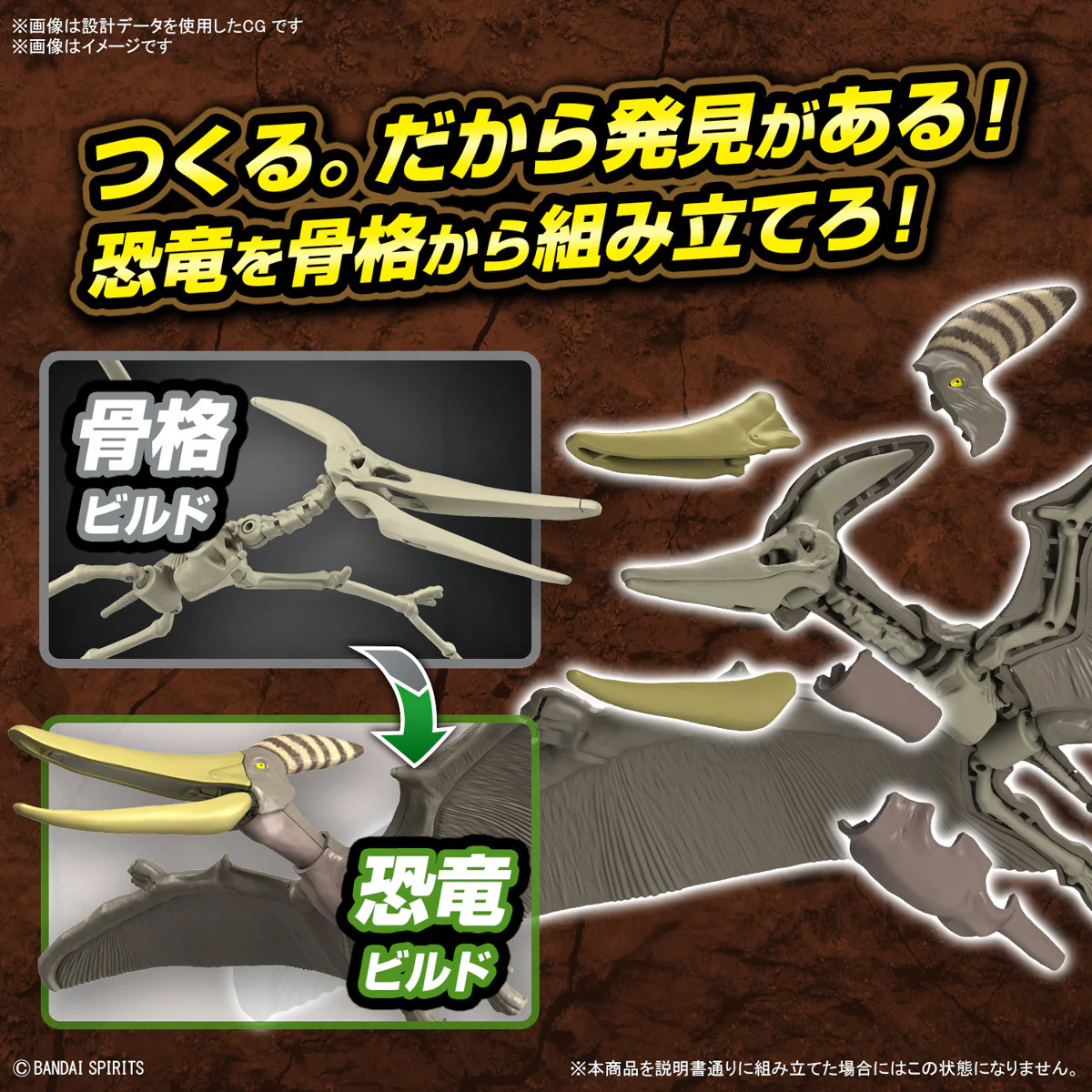 Real Science - Plannosaurus Pteranodon Model Kit - Image 4