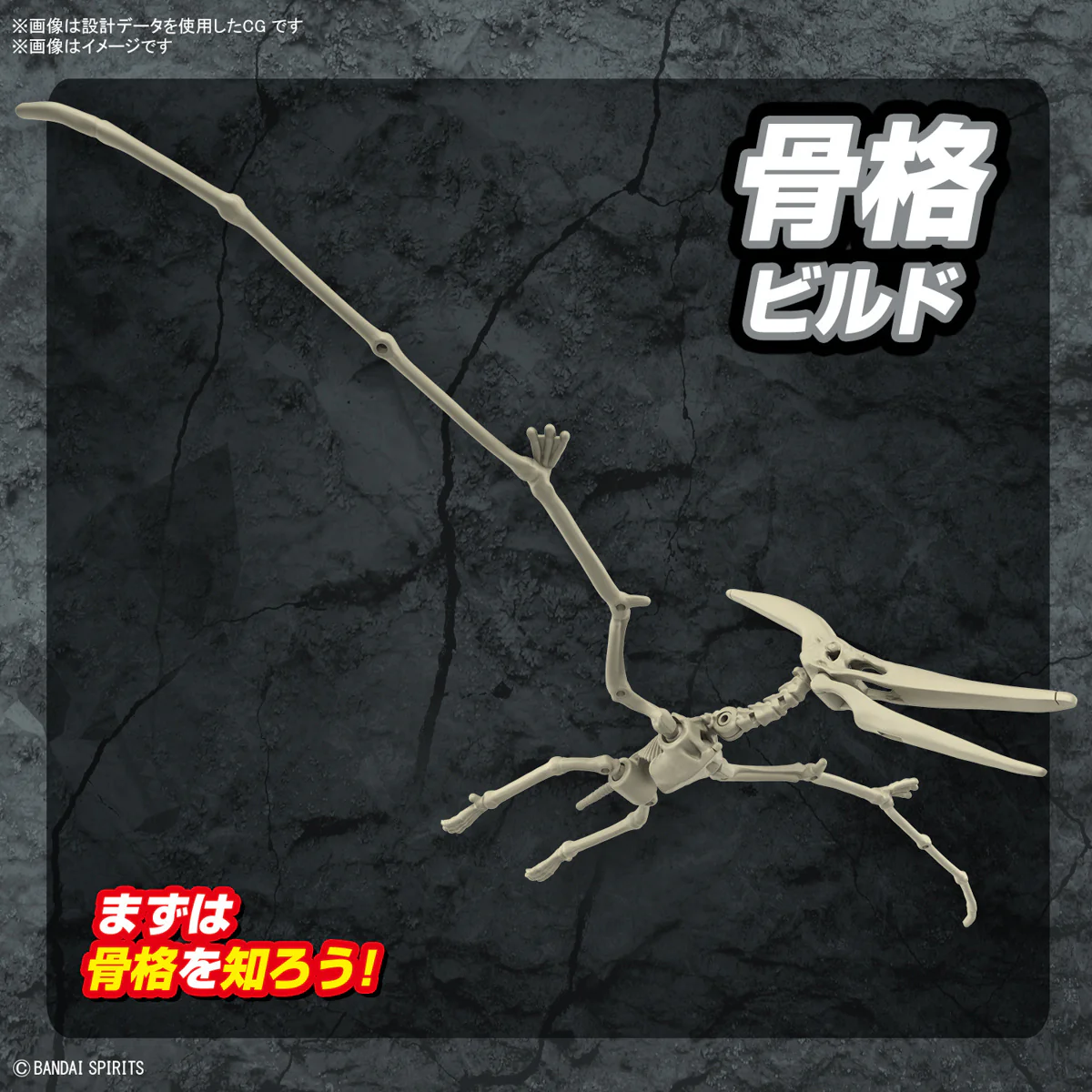 Real Science - Plannosaurus Pteranodon Model Kit - Image 5