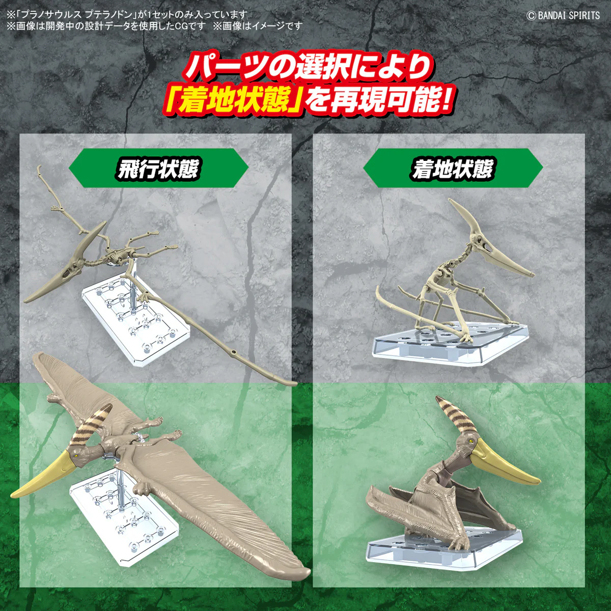 Real Science - Plannosaurus Pteranodon Model Kit - Image 7