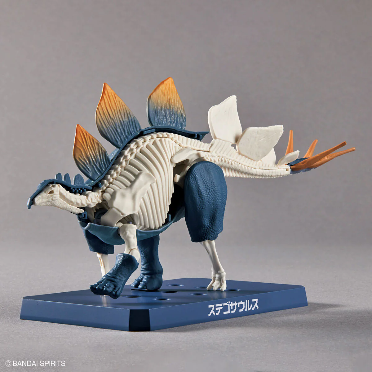 Real Science - Plannosaurus Stegosaurus Model Kit - Image 4