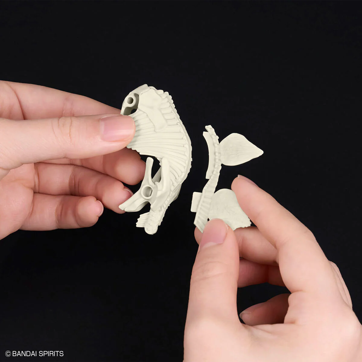 Real Science - Plannosaurus Stegosaurus Model Kit - Image 6