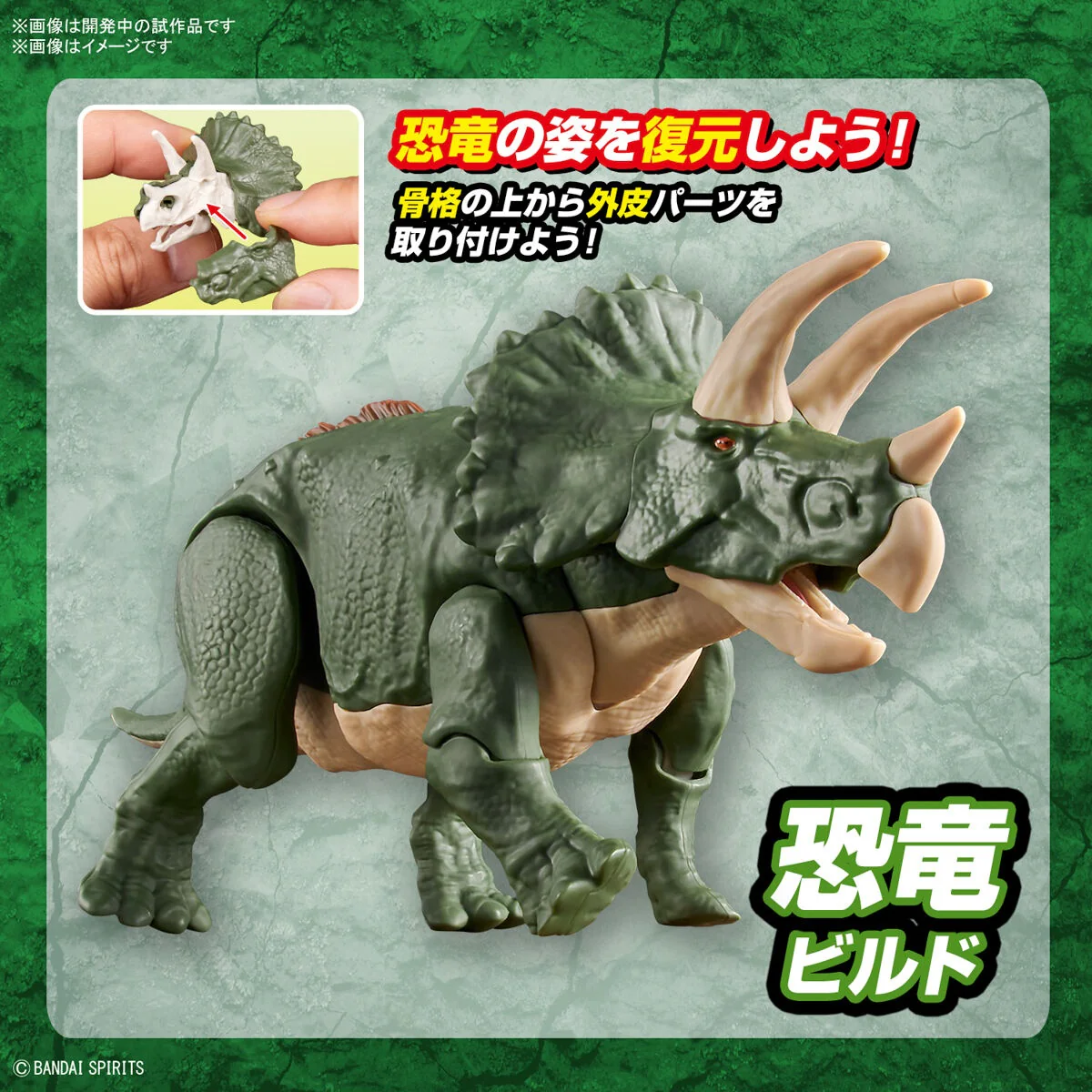 Real Science - Plannosaurus Triceratops Model Kit - Image 11