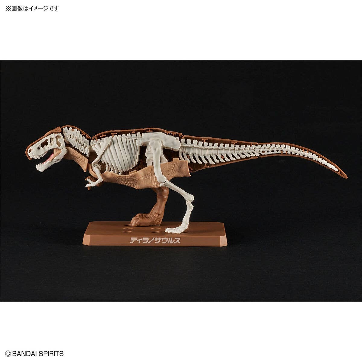 Real Science - Plannosaurus Tyrannosaurus - Image 5