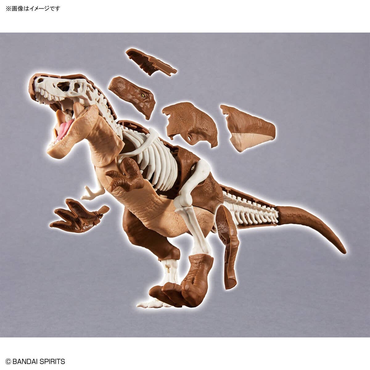 Real Science - Plannosaurus Tyrannosaurus - Image 6