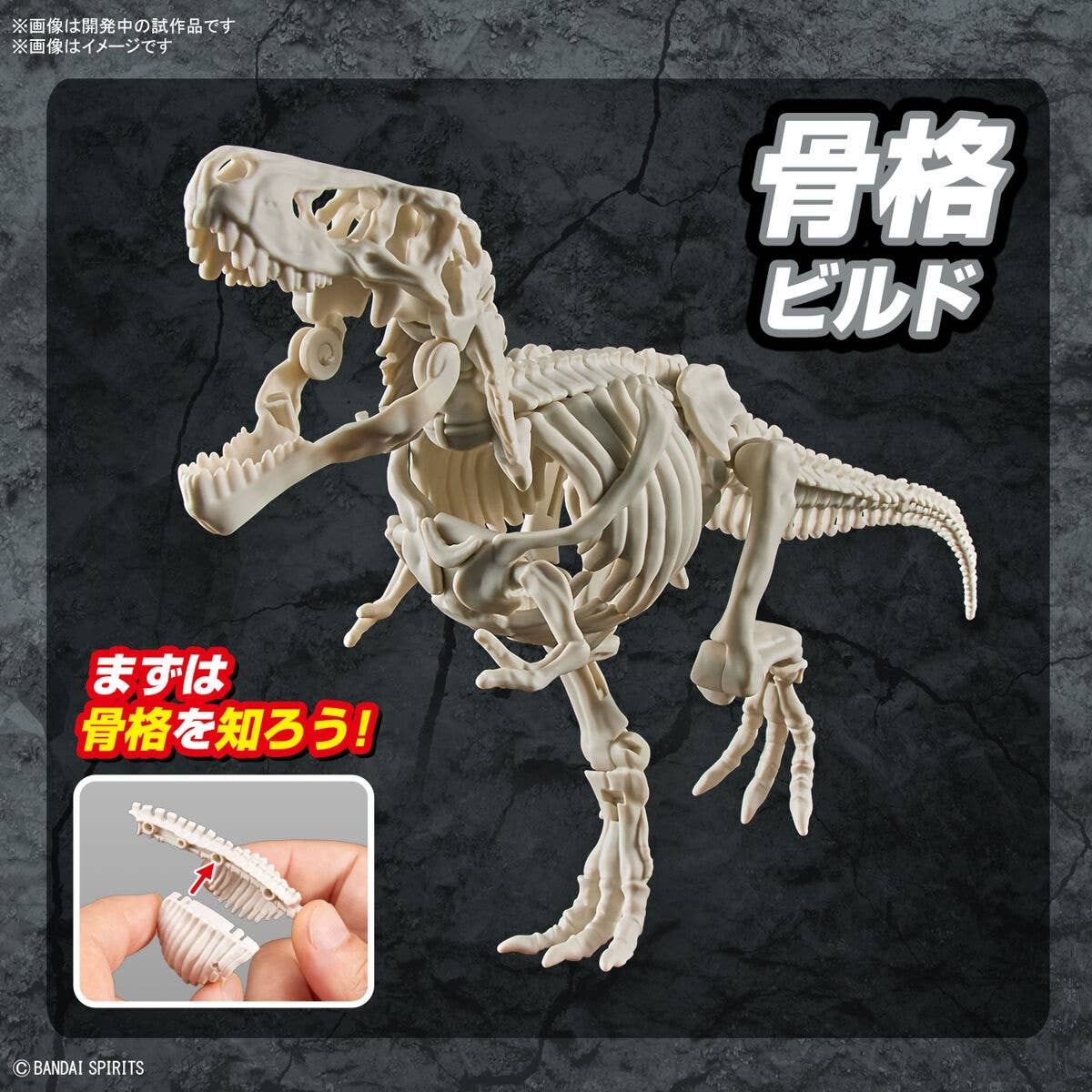 Real Science - Plannosaurus Tyrannosaurus - Image 8